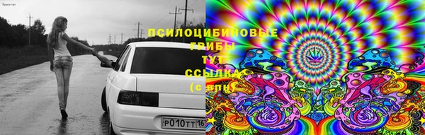 mdpv Гусиноозёрск