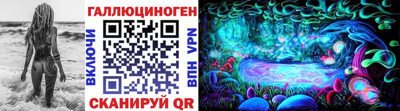 купить   Томмот  Галлюциногенные грибы мицелий 